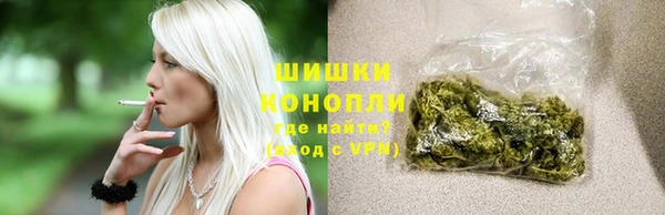 PSILOCYBIN Нея