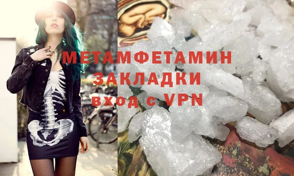 ПСИЛОЦИБИНОВЫЕ ГРИБЫ Дмитриев