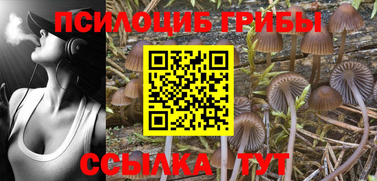 Псилоцибиновые грибы GOLDEN TEACHER  Вход с VPN  наркотики  Томск 